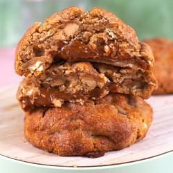 Snickerdoodle | NY Cookie de vainilla, azúcar, canela y Caramelo